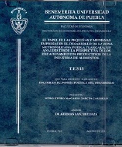 El papel de las pequeñas y medianas empresas en el desarrollo de la zona metropolitana Puebla Tlaxcala; un análisis desde la perspectiva de los encadenamientos productivos en la industria de alimentos 